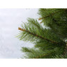 Триумф ель TRIUMPH TREE, Пушистая, 215 см, зеленая 72166